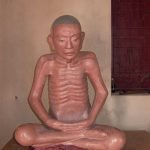 Có phải Phật tử sùng bái thần tượng không